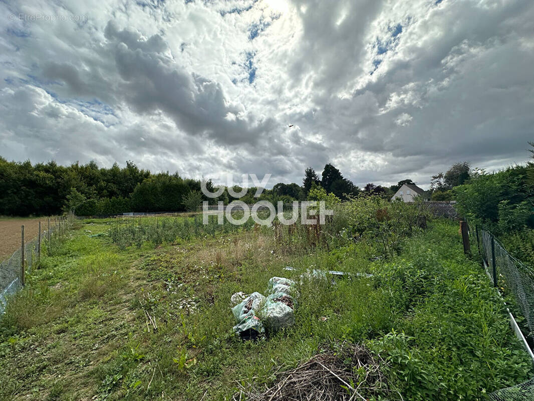 Terrain à BAUGY