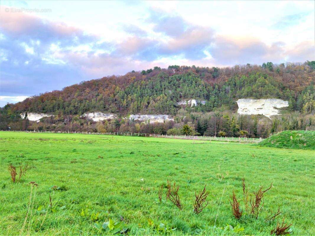 Terrain 1351 m² à Brosville  - photo 6