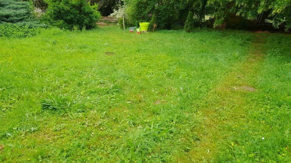 Terrain 314 m² à Limours  - photo 2