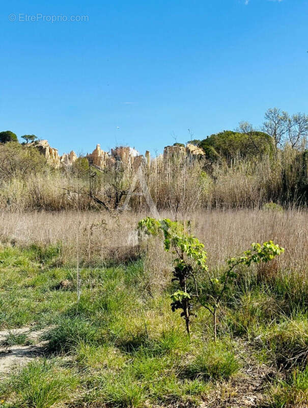 Terrain à ILLE-SUR-TET