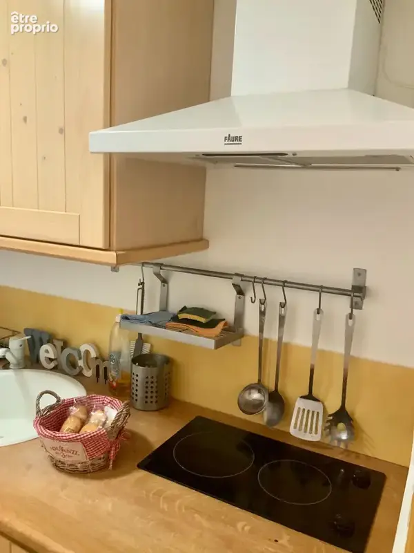 2 p 42 m² vieux nice saleya - photo 15