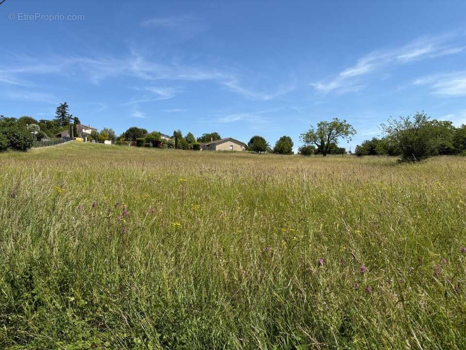Terrain 786 m² à Montpitol  - photo 4