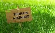 Terrain à SAINTE-AGNES