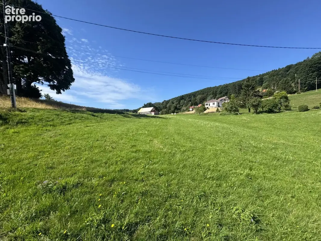 Terrain(s) constructible(s) 13,15a Hohwald - photo 6