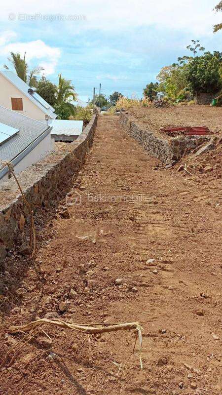 Terrain à SAINT-PAUL