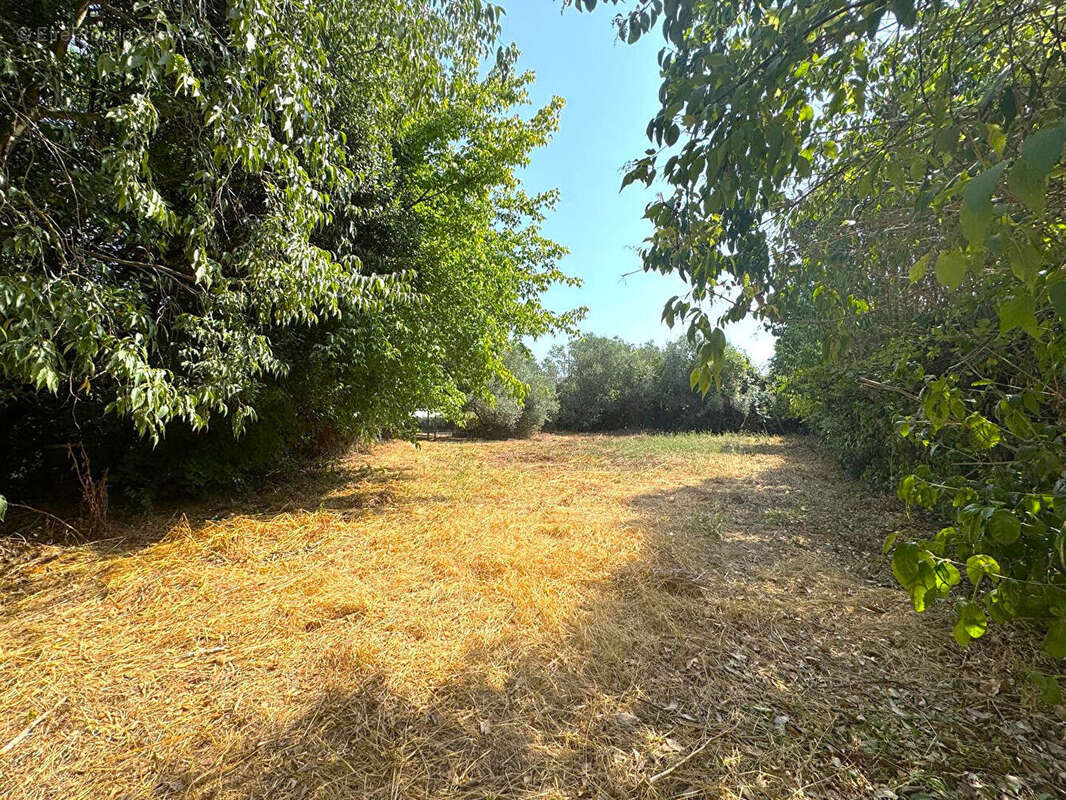Terrain libre constructeur 1379 m² - bagnols-sur-cèze - photo 3