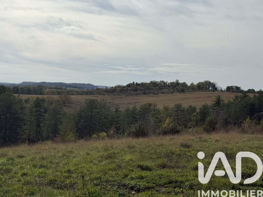 Photo 5 - Terrain à MONTAYRAL