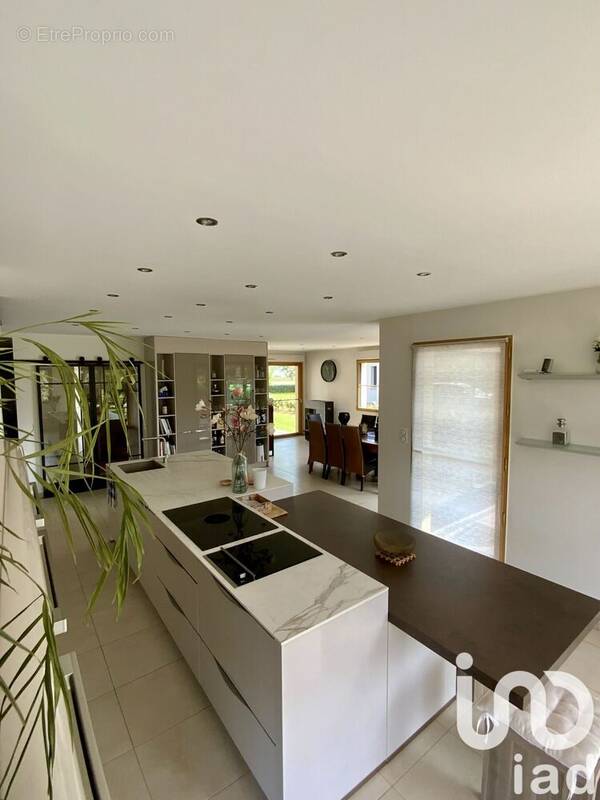 Photo 1 - Maison à MERLIMONT