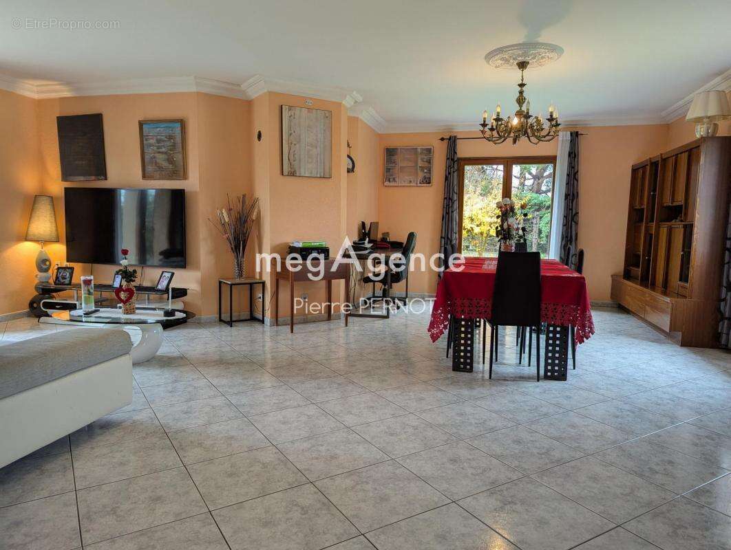 Grande villa avec espace professionnel - photo 3