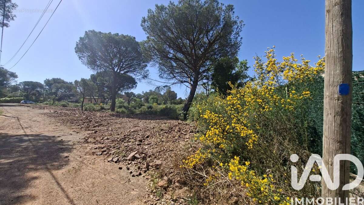 Photo 2 - Terrain à LE CANNET-DES-MAURES