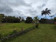 Terrain à LE TAMPON