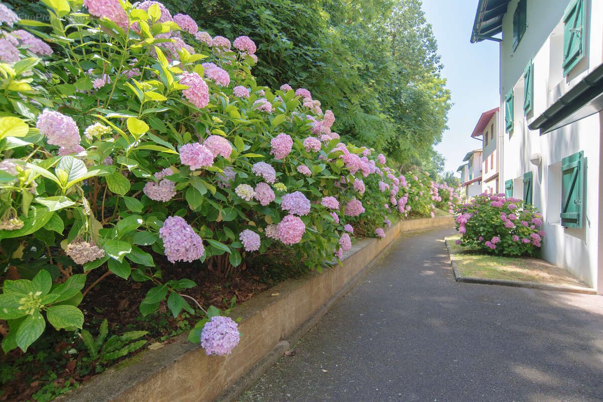 Appartement à HENDAYE