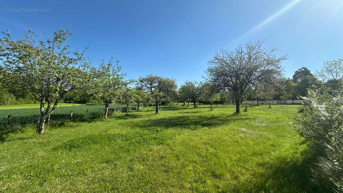 Terrain constructible 1218 m² - photo 3