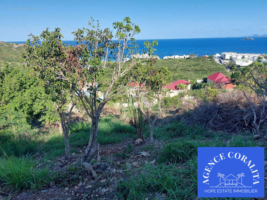vue du terrain - Terrain à SAINT-MARTIN