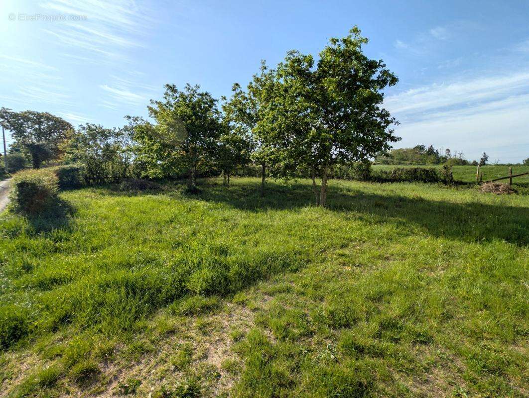 Maison 306 m² - 3 logements + 3 garages - Chassigny-sous-Dun (71) - photo 18