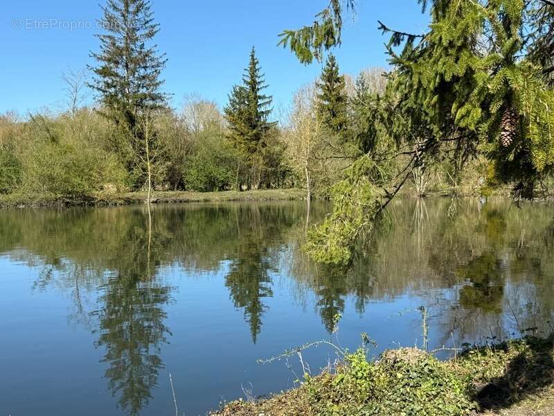 Terrain à BREUIL-LE-SEC
