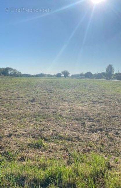 Terrain à BROINDON