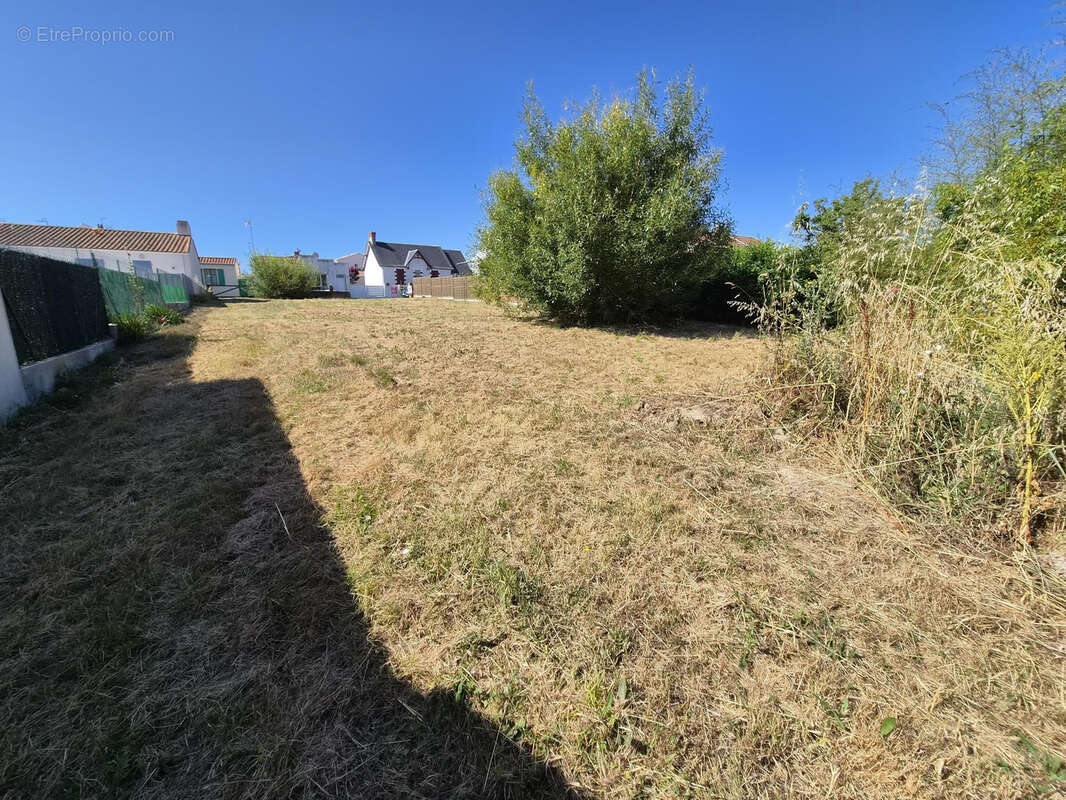 Terrain à SAINT-GILLES-CROIX-DE-VIE