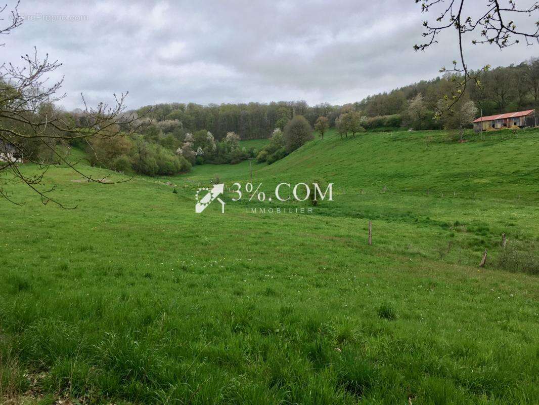 Terrain à WALSCHBRONN