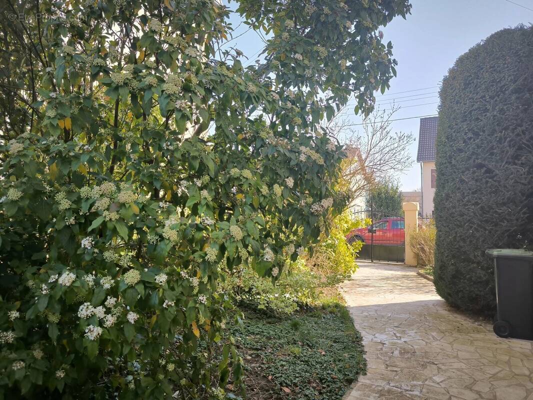 Maison à THIONVILLE