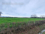 Terrain à MONTREVEL-EN-BRESSE