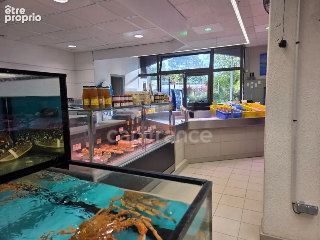 Poissonnerie à vendre QUIMPER (29) - photo 6