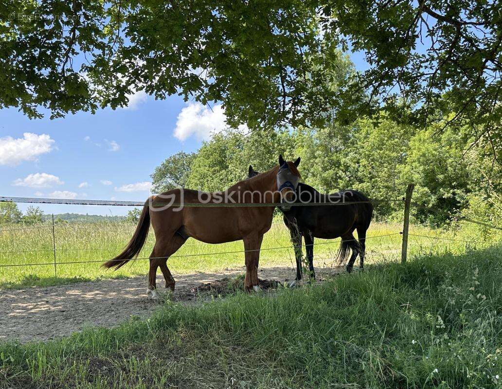 Propriete equestre de 14 hectares - photo 2