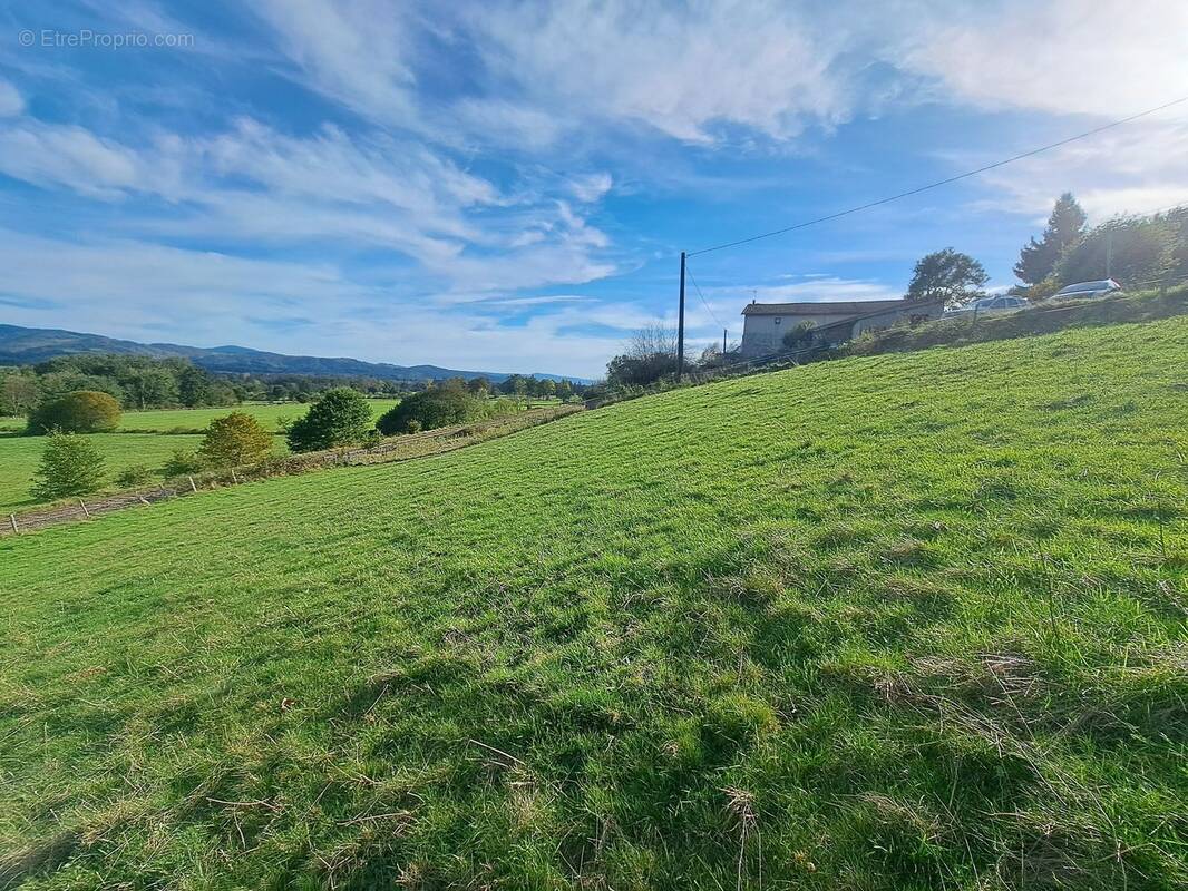 Photo 2 - Terrain à AMBERT