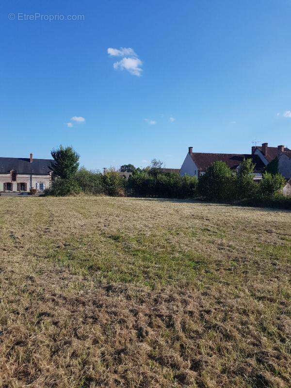 Terrain La Cour Marigny 1 313  m2 - photo 8