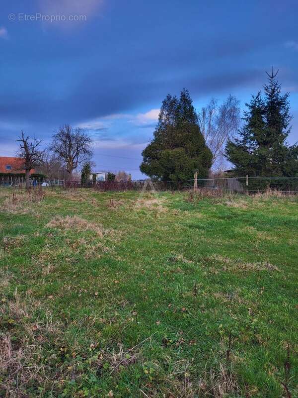 Terrain à BERSEE