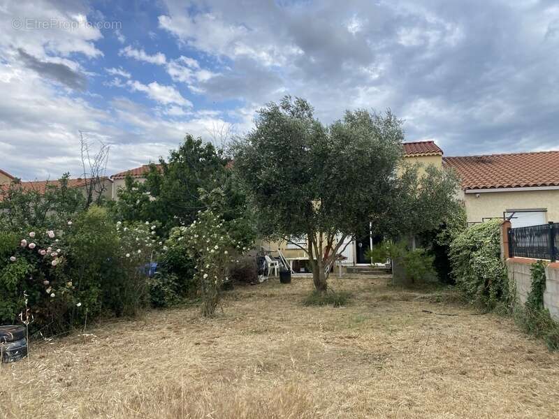 Dpt Pyrénées Orientales (66), à vendre BOULETERNERE Maison 5 pièces sur terrain 380 m², terrasse, garage - photo 11