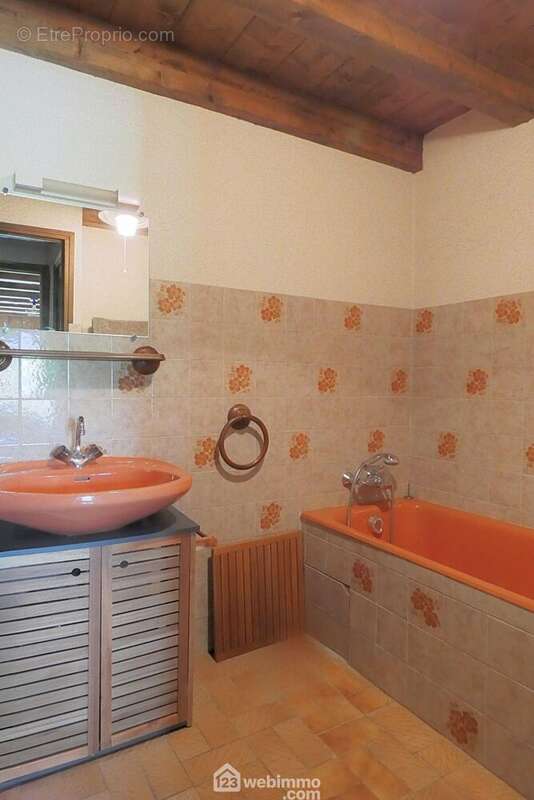 La salle de bain est fonctionnelle. - Maison à UGINE