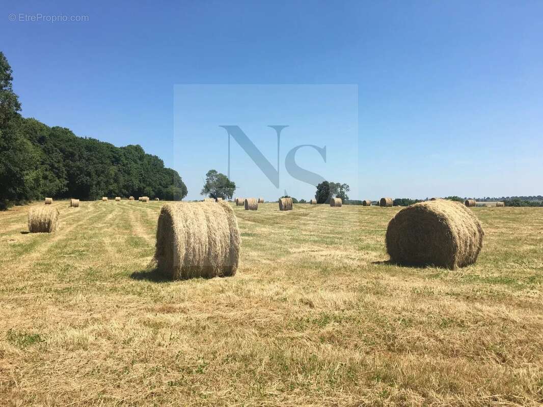 Maison à FORGES-LES-EAUX