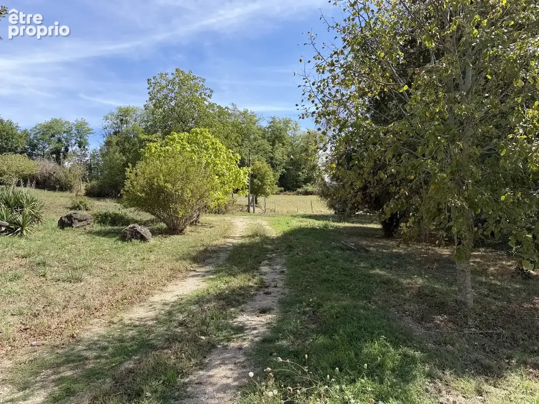 Maison en pierre avec dépendances et terrain - photo 19