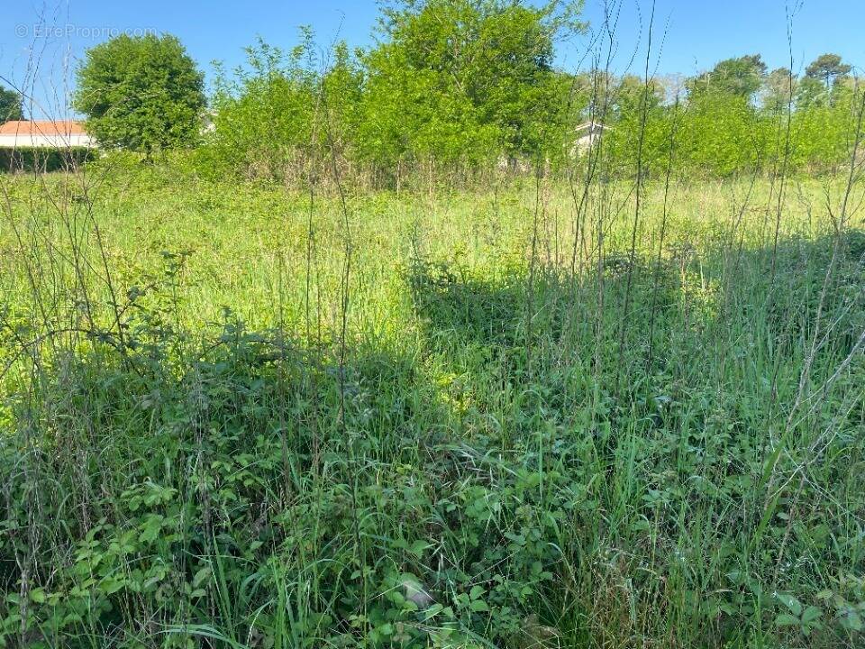 Terrain à LA TESTE-DE-BUCH