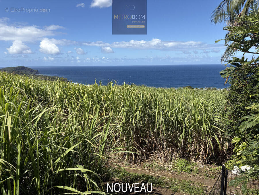 Maison à SAINT-PIERRE