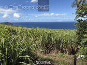 Maison à SAINT-PIERRE