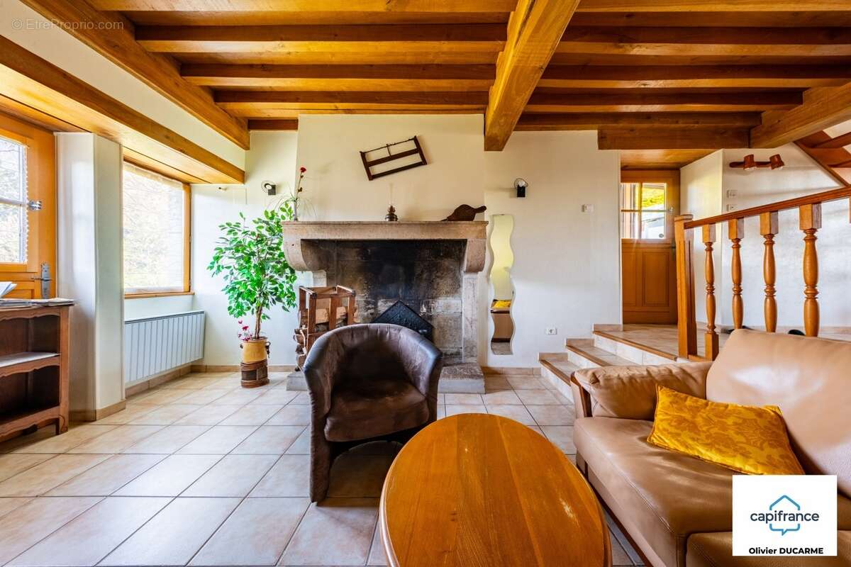 Murs et fonds : gite, chambres d'hôtes et table d'hôtes à vendre CHAUDENAY LE CHATEAU (21) - photo 26
