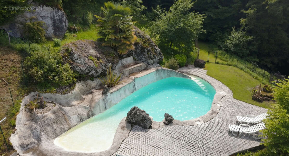 A vendre. Ensemble de 250m² à Tursac (24) avec maison d'habitation, gîte, piscine lagon sur près de 1,5 hectares de terrain en p - photo 3