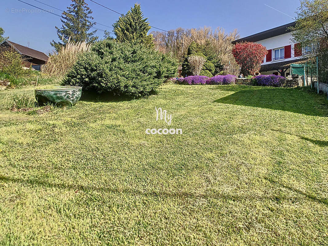 Maison à AMBERIEU-EN-BUGEY