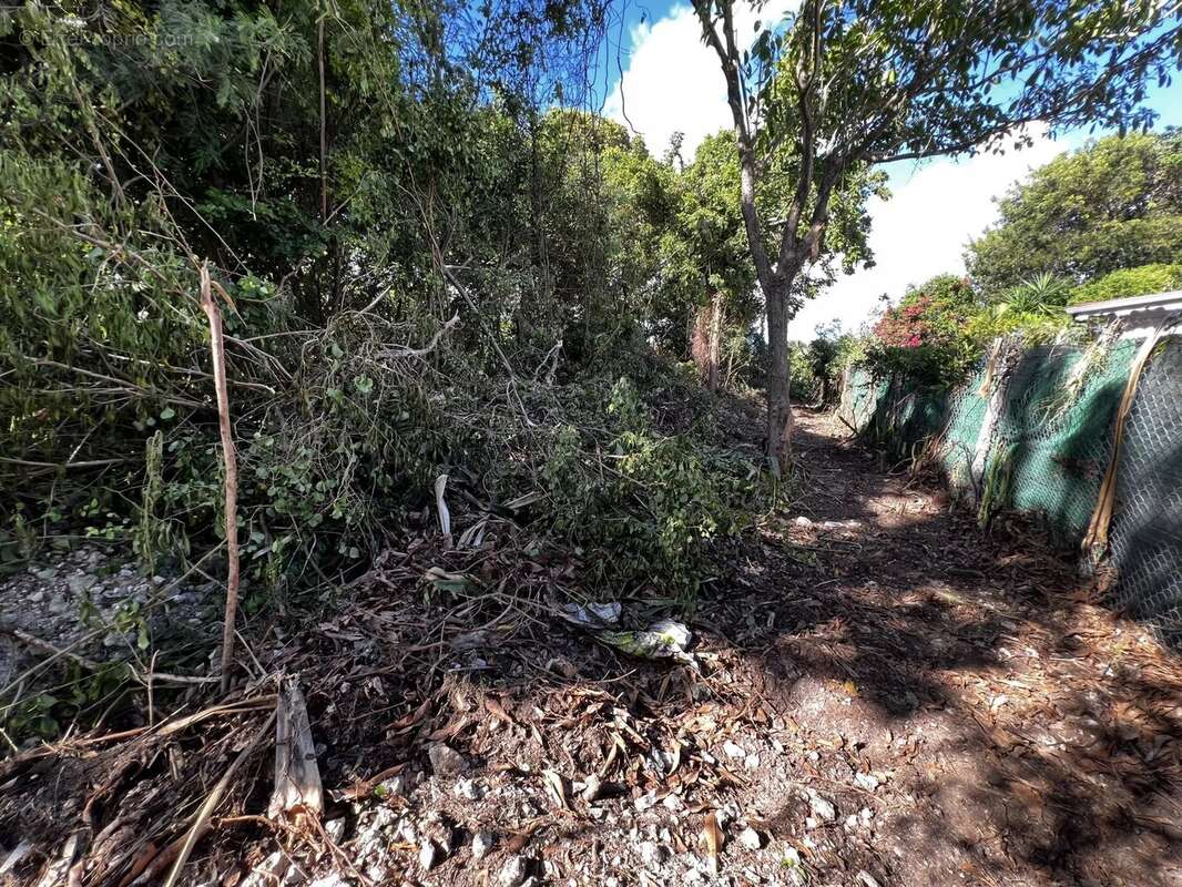 Terrain à SAINTE-ANNE