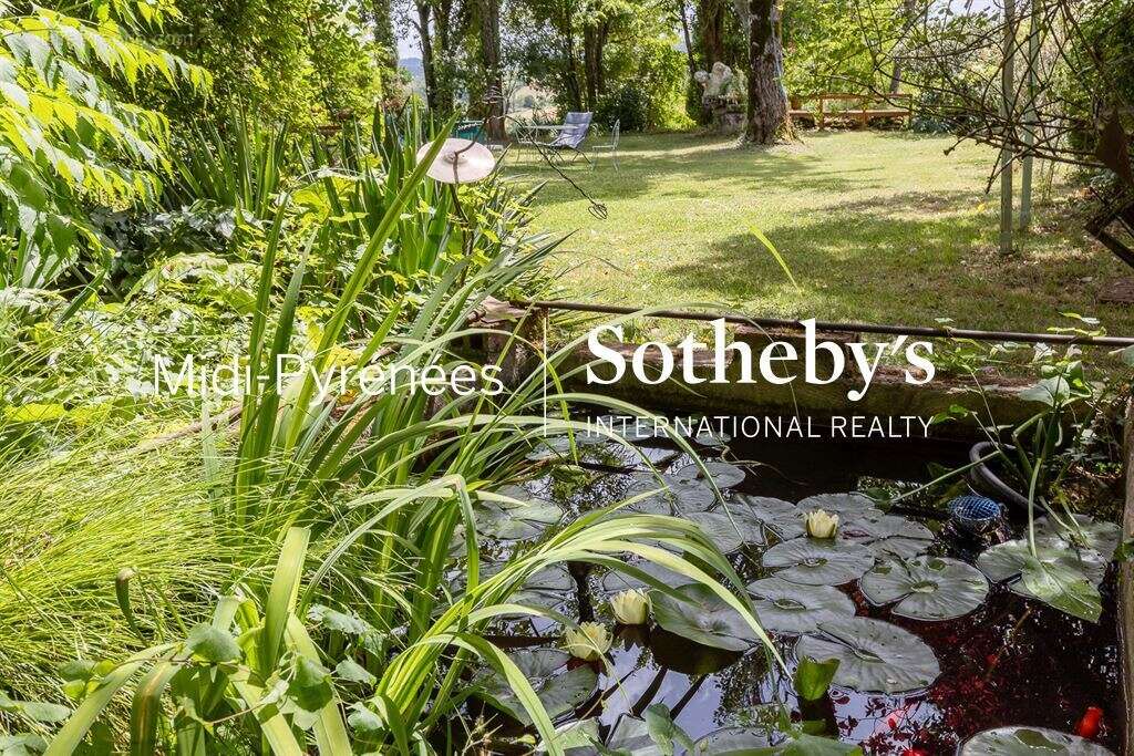 Un coin de paradis - photo 16