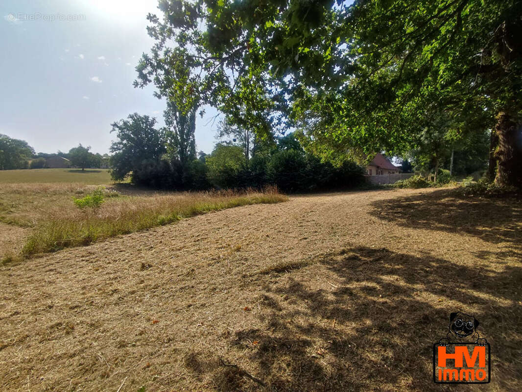 Terrain 3644 m² à Le Vigen  - photo 5