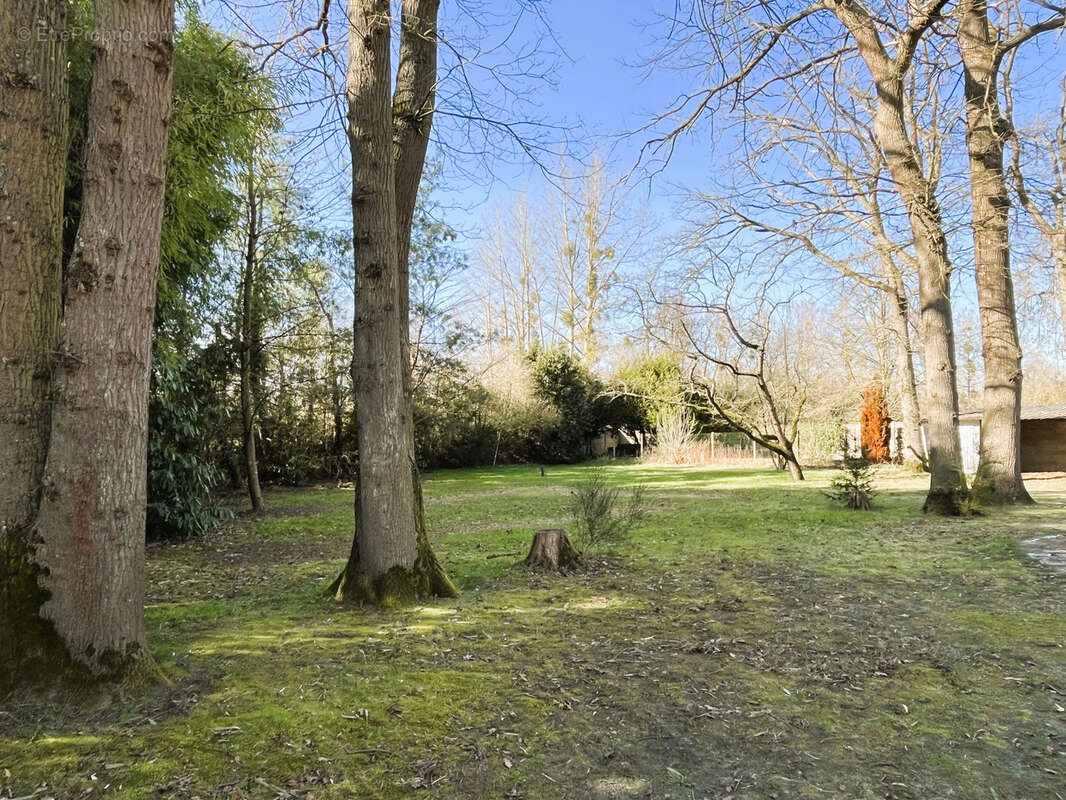 Maison à VERNEUIL-EN-HALATTE