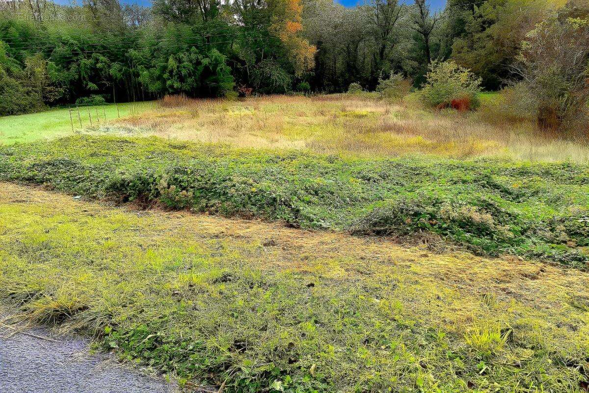 Terrain à LESCURE-D'ALBIGEOIS
