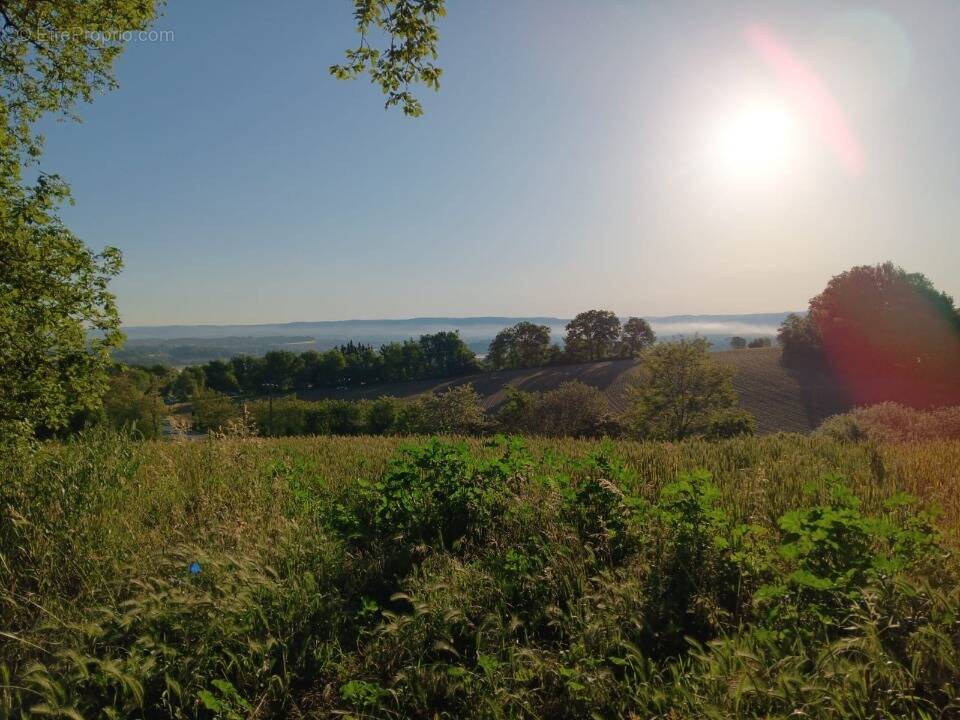 Terrain à SAINT-AFFRIQUE-LES-MONTAGNES