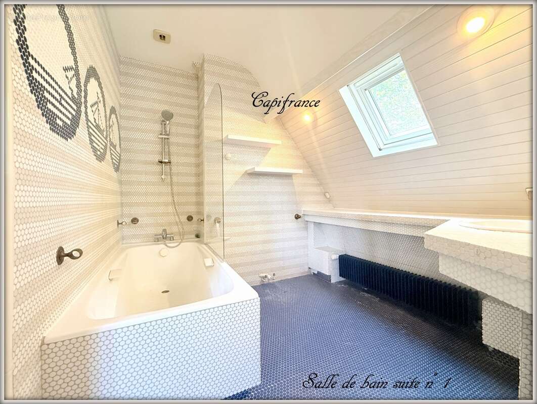 Propriété sur Parc avec dépendance - photo 19