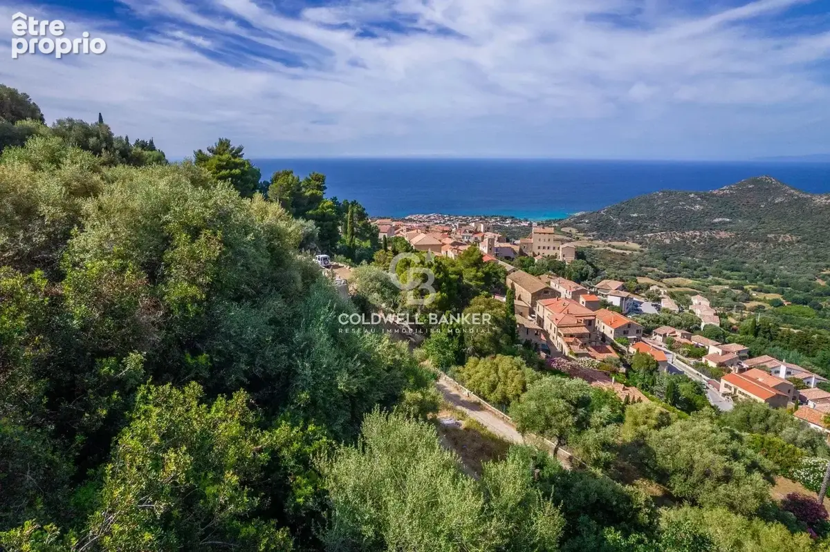 Monticello - Terrain constructible avec permis - vue mer , village & montagne - photo 4