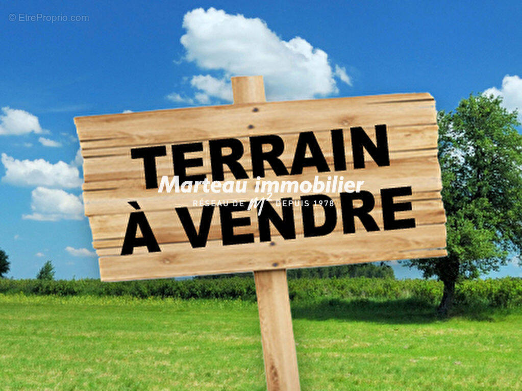 Terrain à MONCE-EN-BELIN