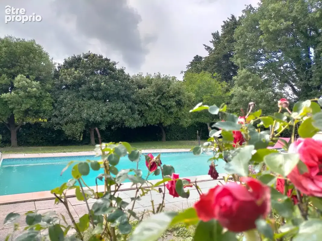 Maison de caractère 6 pièces – 4 chambres – piscine 10×5 sur 1 800 m² arborés et clos - photo 2